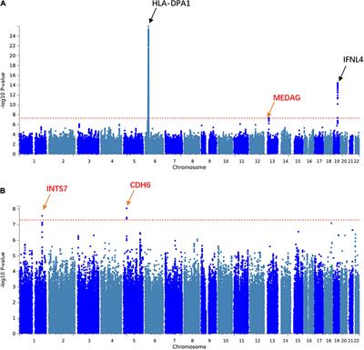 Discovery of Novel Host Molecular Factors Underlying HBV/HCV Infection